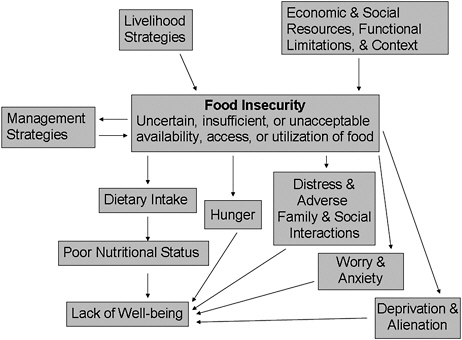 FIGURE 6-1 Families must balance many factors in efforts to remain food secure.