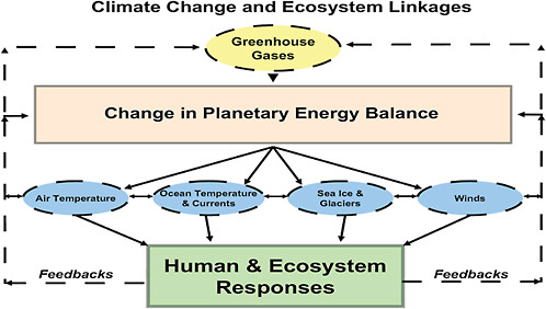 FIGURE 1.3 This diagram represents the connections between climate change and human and ecosystems responses. It illustrates how changes in greenhouse gases lead to changes in the planetary energy balance (changing latitudinal gradients and heat retained near the surface), which has further impacts on air temperature, ocean temperature and currents, sea ice and glaciers, and winds. These impacts will affect humans and ecosystems and, in turn, the human and ecosystem responses will feed back into the components of the system.