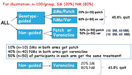 FIGURE 3-2 Hypothetical genotype-guided versus usual care scenario to measure smoking cessation rates using varenicline or patch.