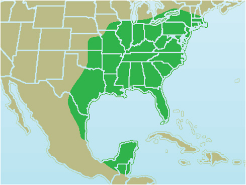 FIGURE 4-2 Birds are efficient transmitters of Borrelia strains over great geographic distances. For example, the range of Carolina wrens alone encompasses nearly half the United States.