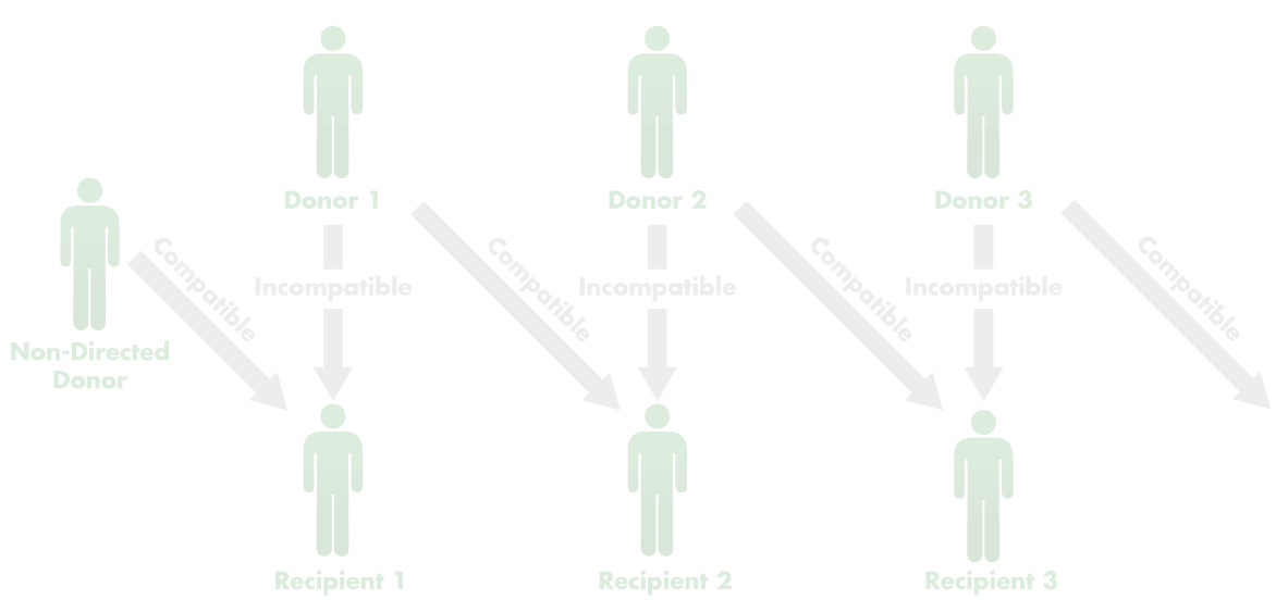 transplant chain diagram