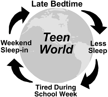 High S
chool Later Start Based on Adolescent Sleep Patterns