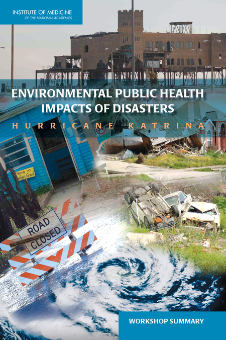 The Impacts Of Hurricane Katrina