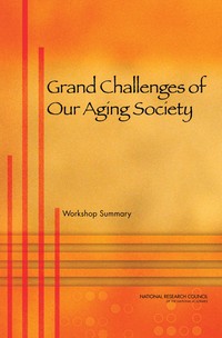 Grand Challenges of Our Aging Society: Workshop Summary