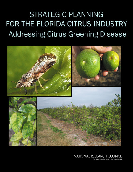 Strategic Planning for the Florida Citrus Industry: Addressing Citrus Greening Disease