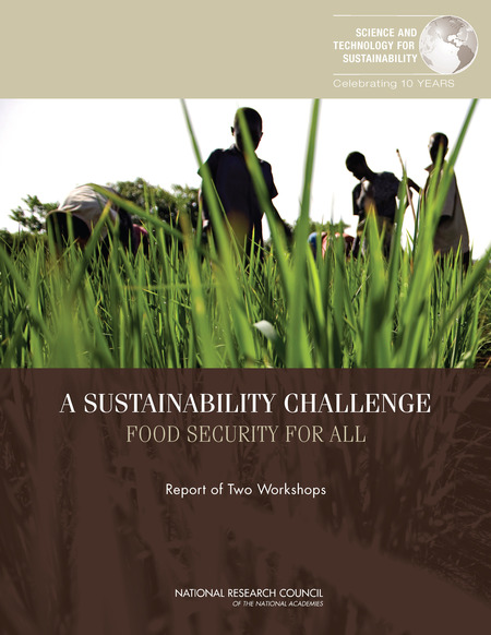 Measuring Food Insecurity and Assessing Sustainability of Global Systems: Report of a Workshop