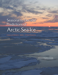 Seasonal to Decadal Predictions of Arctic Sea Ice: Challenges and Strategies