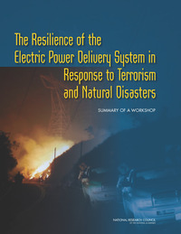 The Resilience of the Electric Power Delivery System in Response to Terrorism and Natural Disasters: Summary of a Workshop