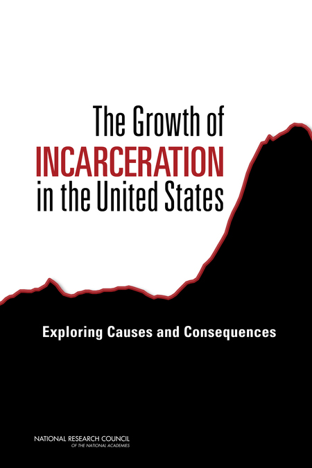 The Growth of Incarceration in the United States: Exploring Causes and Consequences