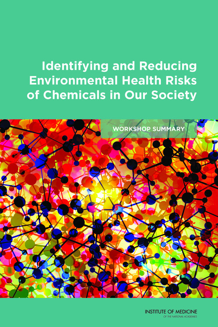 Identifying and Reducing Environmental Health Risks of Chemicals in Our Society: Workshop Summary