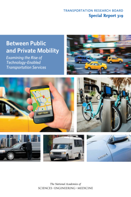 Between Public and Private Mobility: Examining the Rise of Technology-Enabled Transportation Services