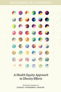A Health Equity Approach to Obesity Efforts: Proceedings of a Workshop