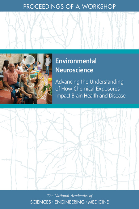 Environmental Neuroscience: Advancing the Understanding of How Chemical Exposures Impact Brain Health and Disease: Proceedings of a Workshop