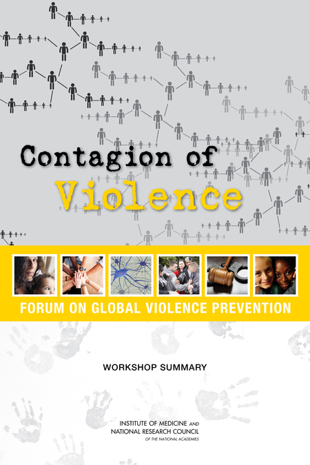 Contagion of Violence: Workshop Summary
