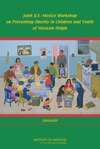 Joint U.S.-Mexico Workshop on Preventing Obesity in Children and Youth of Mexican Origin: Summary