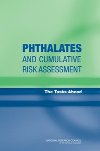 Phthalates and Cumulative Risk Assessment: The Tasks Ahead