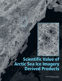 Scientific Value of Arctic Sea Ice Imagery Derived Products