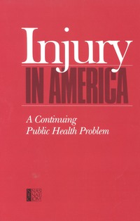 Injury in America: A Continuing Public Health Problem