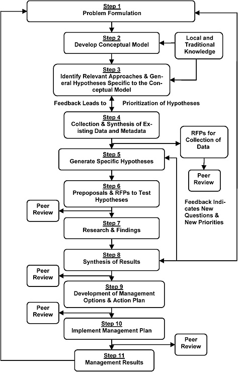 example of research framework