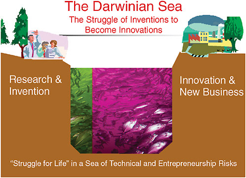 FIGURE 1 From invention to innovation: The Darwinian Sea.