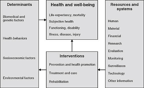 FIGURE 2-2 A conceptual framework for health.