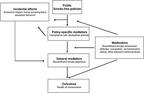 FIGURE 5-2 Factors contributing to the health of nonsmokers after implementation of a public smoke-free policy.