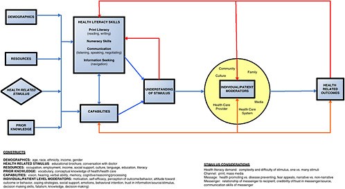 FIGURE 3-1 Conceptual framework for individual health literacy.
