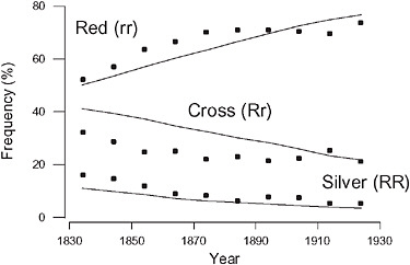 FIGURE 7.2 Reduction in frequency of the silver morph of the fox in eastern Canada resulting from the preferential harvest by hunters of the more valuable silver morph (Elton, 1942; Haldane, 1942). The points represent data presented by Elton (1942). The lines represent the expected change in frequencies of the 3 phenotypes via selection at a single locus, assuming that the silver fox morph has a 3% survival disadvantage per generation relative to the red and cross morphs. The initial frequency of the R allele was 0.3 and the mean generation interval was 2 years (Haldane, 1942).