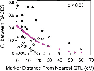 FIGURE 1-4 The relationship between the Fst values of AFLP markers, and their map distance from the nearest QTL involved in reproductive isolation between pea aphids on alfalfa and red clover. Fst outliers are shown with solid circles, and the dotted line at 10.6 cM marks the average distance from an outlier to the nearest QTL. The triangles are the predicted values from a logistic regression of the probability that a marker was an outlier on its distance to the nearest QTL (modified from Via and West, 2008).