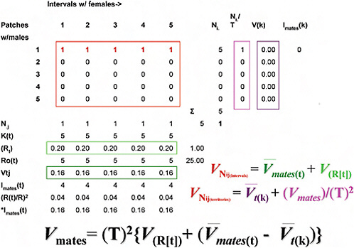 FIGURE 10.3 Methods for partitioning the total variance in mate numbers among males into spatial and temporal components (explanation in Spatial and Temporal Distribution of Matings).