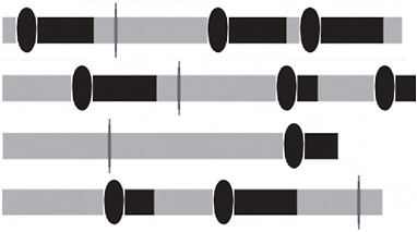 FIGURE 11.2 Four stick models of idealized reproductive careers of 4 individuals. On each stick, the gray bars represent the stage, search. The ovals attached to black bars represent the time used when an individual encounters and accepts for mating a potential mate, and enters a latency, a period during which the individual is unreceptive to further mating. The gray vertical ovals attached to gray bars represent encountering and rejecting a potential mate, after which the individual reenters search. Some sticks are longer than others, indicating that some individuals die before others, when they enter the absorbing state, death.