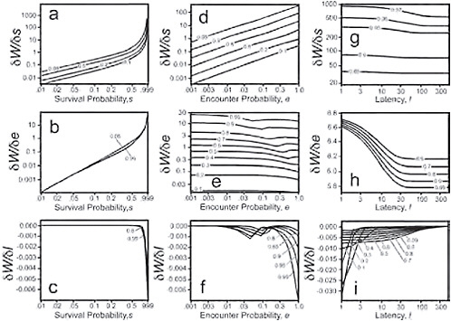FIGURE 11.8 Top three panels: Sensitivity of the derivative of lifetime fitness at the switch point f* with respect to the survival probability s, a. as a function of survival probability s (x axis), for several sample values of the probability of encounter e (contour lines), and for a latency l = 10; d: as a function of encounter probability e (x axis), for several sample values of the probability of survival s (contour lines), and for a latency of l = 10; g: as a function of latency l (x axis), for several sample values of the probability of survival s (contour lines), and an encounter probability e = 0.99. Middle three panels. Sensitivity of the derivative of lifetime fitness at the switch point f* with respect to the encounter probability e, b. as a function of survival probability s (x axis), for several sample values of the probability of encounter e (contour lines), and for a latency l = 10; e: as a function of encounter probability e (x axis), for several sample values of the probability of survival s (contour lines), and for a latency of l = 10; h: as a function of latency l (x axis), for several sample values of the probability of survival s (contour lines), and an encounter probability e = 0.99. Bottom three panels. Sensitivity of the derivative of lifetime fitness at the switch point f* with respect to latency l, c. as a function of survival probability s (x axis), for several sample values of the probability of encounter e (contour lines), and a latency l = 10; f: as a function of encounter probability e (x axis), for several sample values of the probability of survival s (contour lines), and for a latency of l = 10; i: as a function of latency l (x axis), for several sample values of the probability of survival s (contour lines), and an encounter probability e = 0.99.