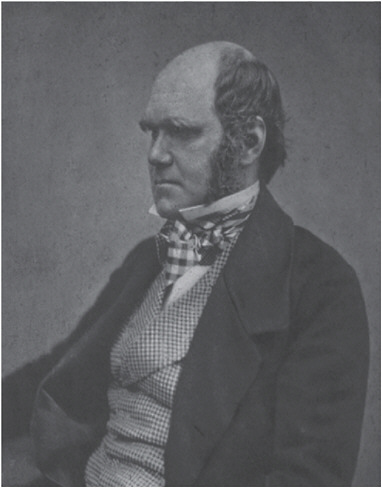 FIGURE 13.1 Charles Darwin, circa 1854 (courtesy of Professor G. Evelyn Hutchison).