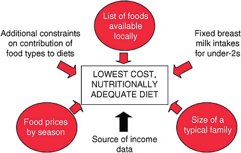 FIGURE 5-2 Schematic of the cost-of-the-diet assessment.