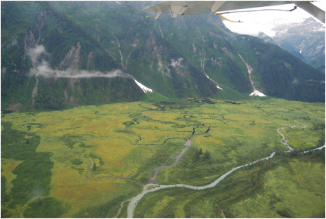 FIGURE 1.1 Landscapes at Earth’s surface host a suite of interconnected landforms and processes that can remain stable for long periods of time and can also respond rapidly to changes in climate or land use. In this view of a recently deglaciated valley in the Juneau Icefield, Alaska, surface features comprise hillslopes, rock falls and slides, glaciers (in the far distance, upper right corner of the image), alluvial fans, streams, wetlands, and biota. Integral processes less visible than the landforms and land cover include weathering, soil formation, climate, surface and groundwater flow, nutrient fluxes, and tectonics. SOURCE: Photograph courtesy of Dorothy Merritts, Franklin and Marshall College, Lancaster, Pennsylvania.