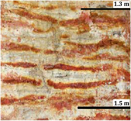 FIGURE 2.6 Biogeochemical reactions can cause pattern formation such as these soil bands. The striping results when biogeochemical processes cause electrons to be transferred to metal oxides containing iron and manganese. The bars represent downward depth in the soil profile. The top bar is at 1.3-meter depth and bottom bar is at 1.5-meter depth; thus the distance between the two bars is 20 centimeters. SOURCE: Fimmen et al. (2007). With kind permission from Springer Science+Business Media.