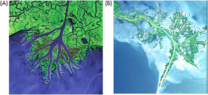 The active, growing Wax Lake Delta (left) in contrast to the main bird’s-foot Mississippi Delta (right), which continues to lose land. SOURCES: (A) LANDSAT 7 WorldWind Geocover 2000. (B) Courtesy of United States Geological Society National Center for EROS and NASA Landsat Project Science Office.