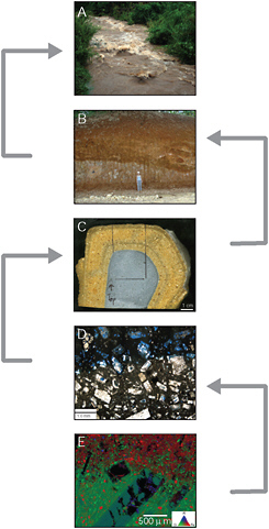 FIGURE 2.13 From the watershed to mineral surface, the biogeochemical evolution of landscapes is driven by processes occurring at many scales. Fluxes of solutes and sediments in flood-stage rivers after Hurricane Dean on Basse Terre Island, Guadeloupe (A), are controlled by soil profiles developed on volcanic debris throughout the watershed (B). Weathering reactions at the clast scale, as shown here to be varying from rock (gray) to soil material (tan) (C), control the chemistry of pore fluids. Dissolution occurs at the rock-rind interface (D), where white, gray, and blue regions are crystallites, glass grains, and porosity, respectively. Finally, the chemistry and topography of individual grain surfaces document the effects of dissolution at the micron scale (E). Photographs A through D derive from the Critical Zone Exploration Network site on Guadeloupe. Photograph E shows basalt weathering in Costa Rica. SOURCES: (A) Courtesy of Jerome Gaillardet, Institut de Physique du Globe de Paris, France. (B) through (E) Courtesy of Peter Sak, Dickinson College © 2009.
