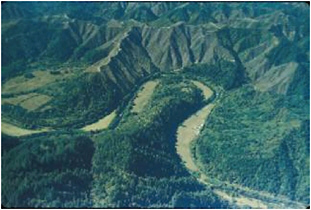 FIGURE 2.20 Do trees influence the shape and surface composition of mountains? SOURCE: Courtesy William E. Dietrich, University of California, Berkeley.