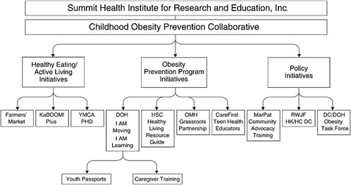 FIGURE 5-3 Early Childhood Obesity Prevention Collaborative’s healthy living opportunity tree.
