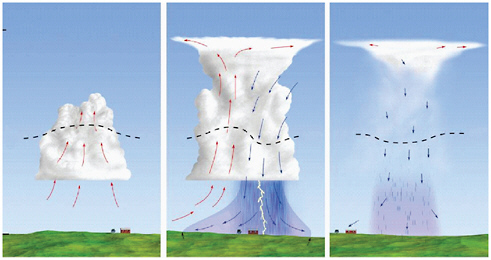 FIGURE B.7 Life cycle of a typical nonsevere thunderstorm. Updrafts are shown as red arrows and downdrafts by blue arrows. The storm initially (left panel) contains only updrafts but contains only downdrafts during dissipation (right panel).