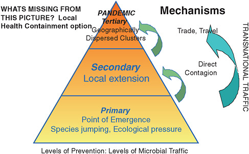 FIGURE 2-9 Trade and travel are key to global dissemination of disease.