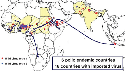 FIGURE 4-4 The international spread of polio from Nigeria, 2003-2005.