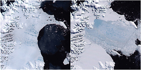 FIGURE 7.5 Larsen-B Ice Shelf (left) January 31, 2002, and (right) March 17, 2002. The 2,018-mile (3,250-km) section of ice shelf, estimated to be over 10,000 years old and 650 feet (200 meters) thick, disintegrated in 6 weeks. White areas correspond to the ice shelf and glaciers on the Antarctic Peninsula, and dark blue/black indicates ocean. The light blue streaks (left panel) correspond to melt ponds on the ice; the larger areas of light blue (right panel) indicate where the ice shelf has collapsed and formed icebergs. Some of the glaciers that fed the ice shelf accelerated by eightfold within months of the collapse. SOURCE: MODIS imagery courtesy of NASA and the National Snow and Ice Data Center.