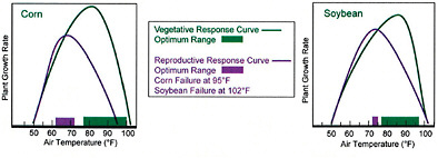 FIGURE 10.1 Growth rates (green) and reproductive response (purple) versus temperature for corn (left) and soybean (right). The curves show that there is a temperature range (colored bars) within which the plants can optimally grow and reproduce, and that growth and reproduction are less efficient at temperatures above this range. The curves also show that, above a certain temperature, the plants cannot reproduce. SOURCE: USGCRP (2009a).