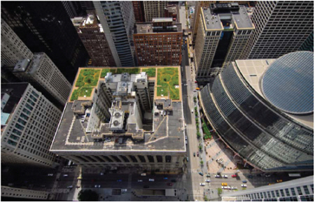 FIGURE 2.3 Green roofs such as this one on Chicago City Hall are aimed at conserving energy. SOURCE: CCAP (2008).