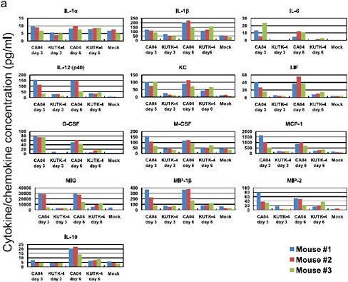FIGURE A5-8 Pro-inflammatory cytokine/chemokine responses in the lungs of infected mice. The concentrations of various cytokines/chemokines were measured in the lungs of mice by use of a protein array analysis with the Bio-Plex Mouse Cytokine 23-Plex and 9-Plex panels (Bio-Rad laboratories). IL-12 (p70) was not detected. IL-18 data are not available due to technical problem of the manufacturer.