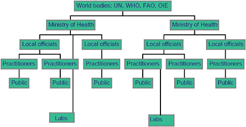 FIGURE A9-1 Hierarchichal nature of traditional public health reporting.