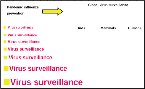 FIGURE A12-3 Emphasizing the need for increasing influenza virus surveillance for the prevention of pandemic influenza.