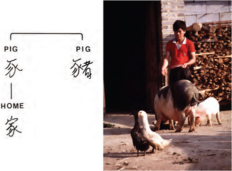 FIGURE WO-25 The long tradition of pigs and poultry sharing human dwellings in China.
